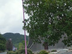 -将军关探险漂流