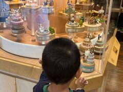 -黄海国家森林公园