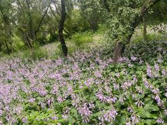 -长春市南湖公园