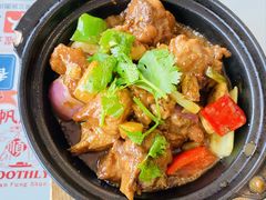 沙姜鸡煲-香港新记茶餐厅(春熙太古里店)