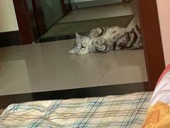 -美迦爱-牙专科·兔科·骨科诊疗中心(北苑店)