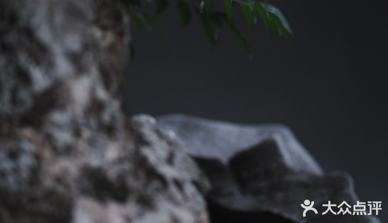 觉得闷热,就逛去园林吃雪糕!