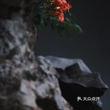 觉得闷热,就逛去园林吃雪糕!