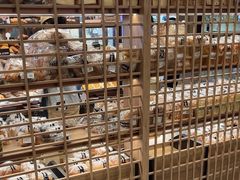 -PAPER STONE BAKERY(天汇广场店)