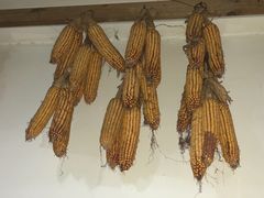-人民公社大食堂(顺义总店)