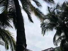 -三亚湾海居铂尔曼度假酒店