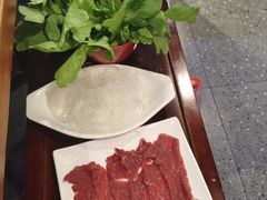 -阳坊胜利涮羊肉(禧乐汇店)