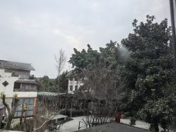-莲生母婴月子中心(清水河公园店)