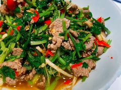 香菜炒牛肉-壹盏灯(蚂蚁工房店)