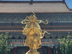 -大悲禅寺