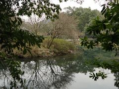 -龙井村