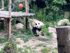 -杭州动物园