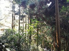 -井冈山风景名胜区