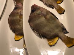 -好兄弟郭巨海鲜(天一阁店)