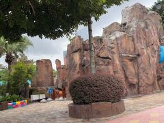 -海合安成都极地海洋公园