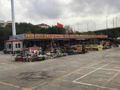 -中环花鸟鱼虫市场