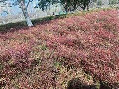 -白塘生态植物园