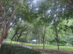 -长白岛森林公园