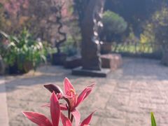 -成都杜甫草堂博物馆