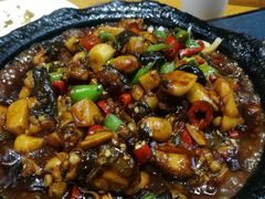 -原鄉本味 楚菜 丹江口鱼(北苑店)