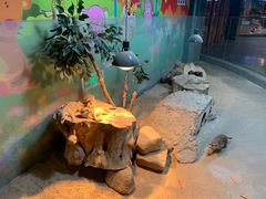 -秦皇岛新澳海底世界