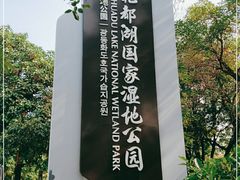 -广东花都湖国家湿地公园