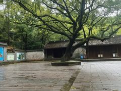 -宁波市保国寺古建筑博物馆