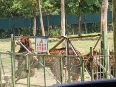 -秦皇岛野生动物园
