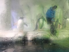 -南昌海洋公园