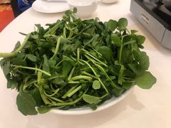 -陶然轩(沙面店)