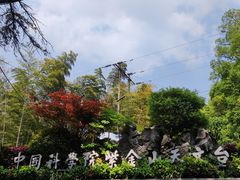 -紫金山山顶公园