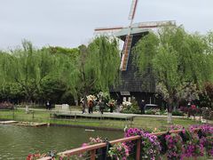 -上海鲜花港