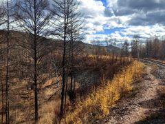 -莫尔道嘎国家森林公园