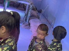 -巴克创奇梦工厂