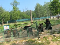 -秦皇岛野生动物园