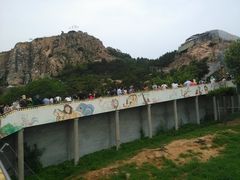 -西霞口神雕山野生动物世界