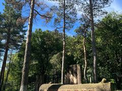 -黑龙江省森林植物园