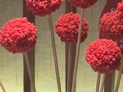 -盡膳口福跷脚牛肉火锅(北美新天地店)