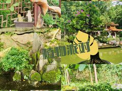 -深圳仙湖植物园