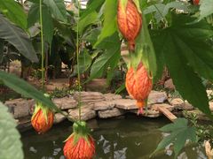 -南通洲际绿博园