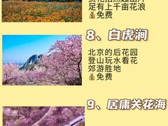 -沉浸北京·团建旅行·密室剧本杀·年会会议轰趴拓展