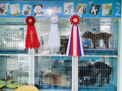 -萌兽医馆·宠物医院·猫骨科(创景店)