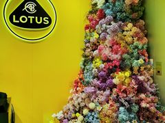 -莲花跑车(国贸商城店)