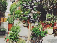 -The Grounds of Alexandria