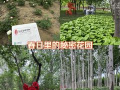 -仁和公园(顺义区)