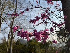 -天台山赤城山景区