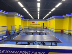 -乐旋乒乓球(郑州一站广场店)