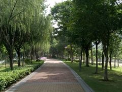 -怡海公园(桂城街道)