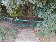 -菊花台公园