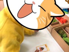 -培飞思维启蒙·益智游戏·科学探索(城西银泰店)